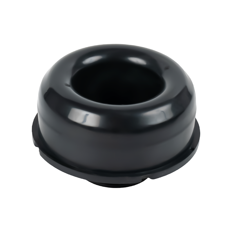 السيرة الذاتية حذاء