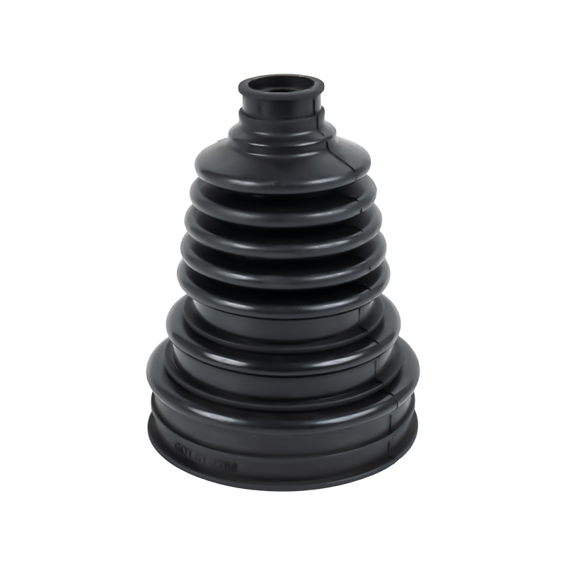 السيرة الذاتية حذاء