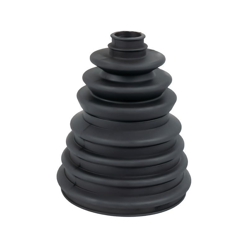 السيرة الذاتية حذاء