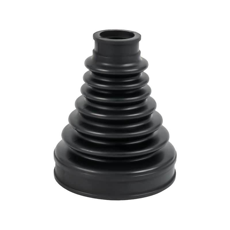 السيرة الذاتية حذاء