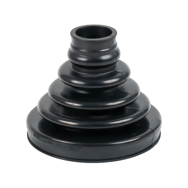 السيرة الذاتية حذاء