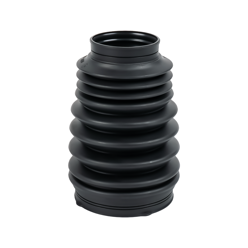 السيرة الذاتية حذاء