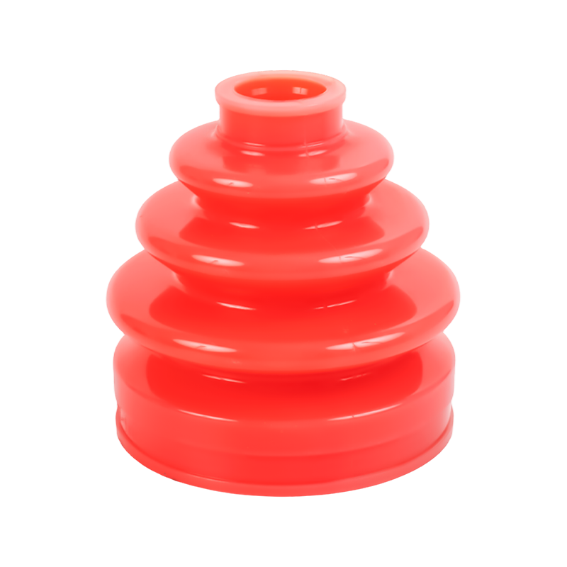 السيرة الذاتية حذاء