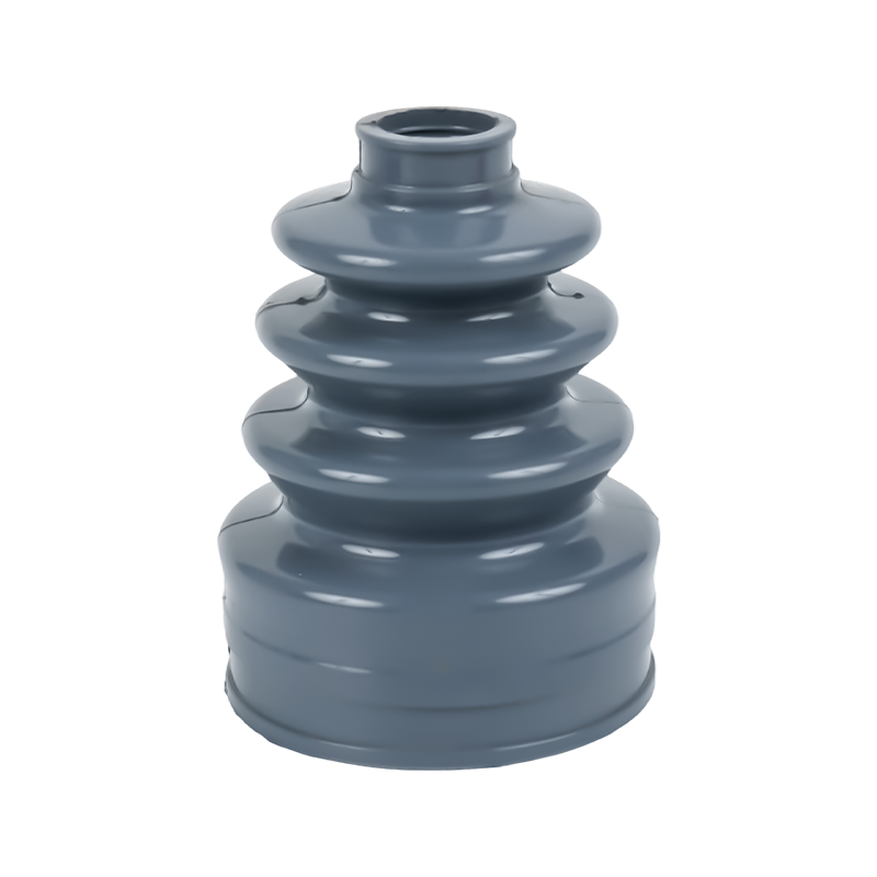 السيرة الذاتية حذاء