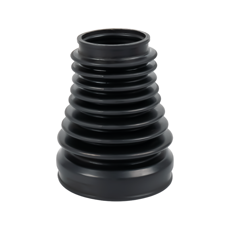 السيرة الذاتية حذاء