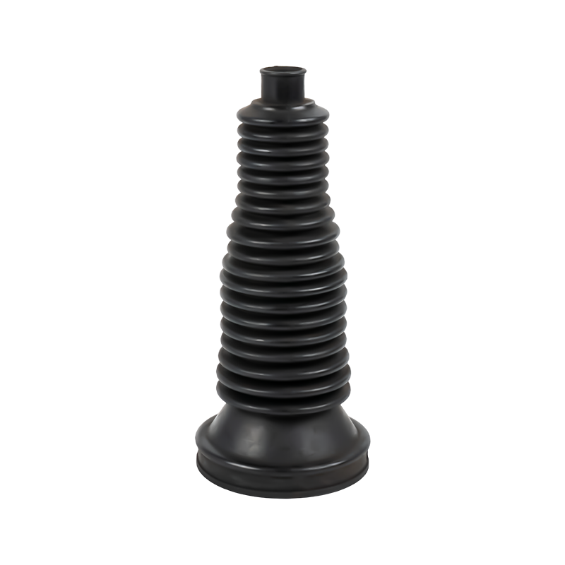 السيرة الذاتية حذاء