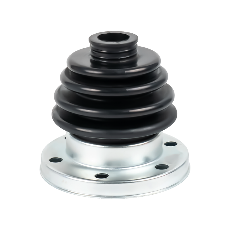 السيرة الذاتية حذاء