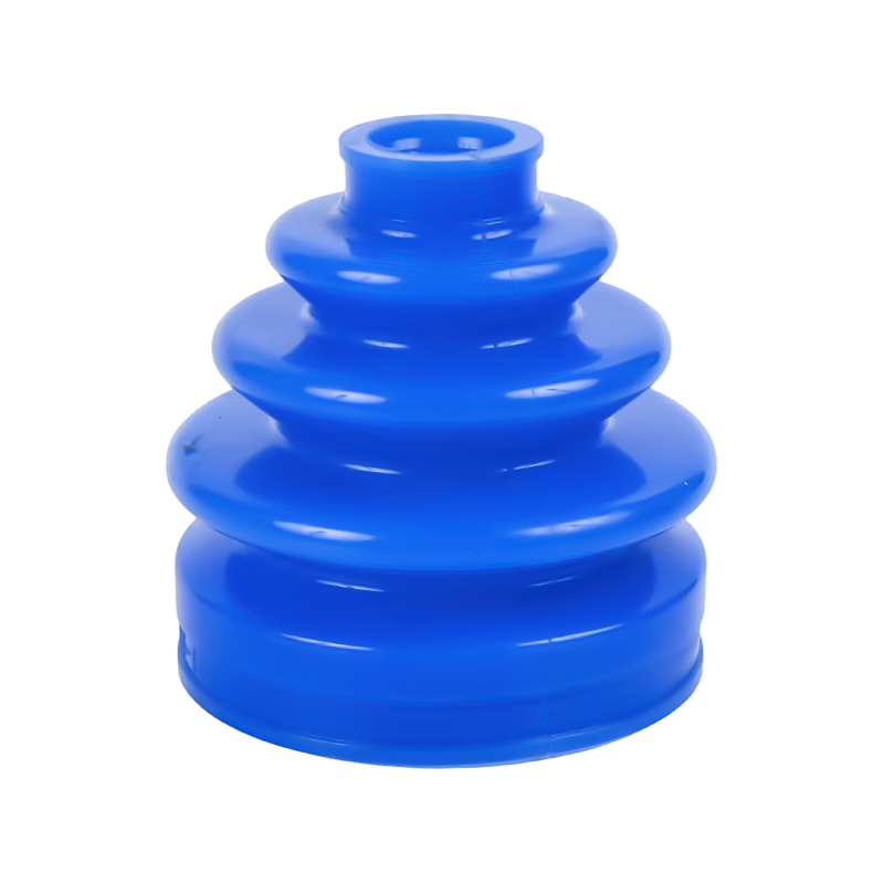 السيرة الذاتية حذاء