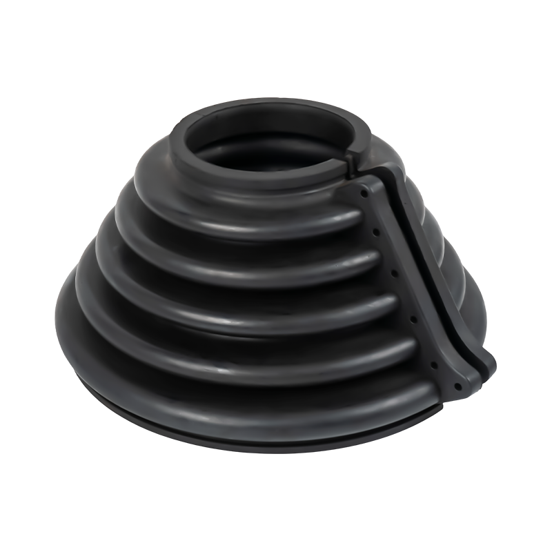 السيرة الذاتية حذاء