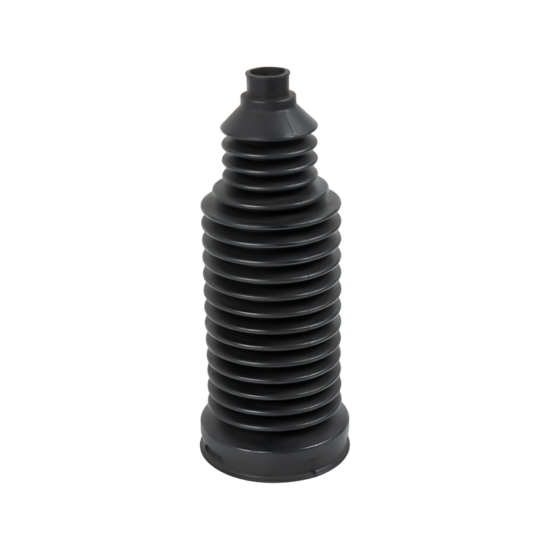 السيرة الذاتية حذاء