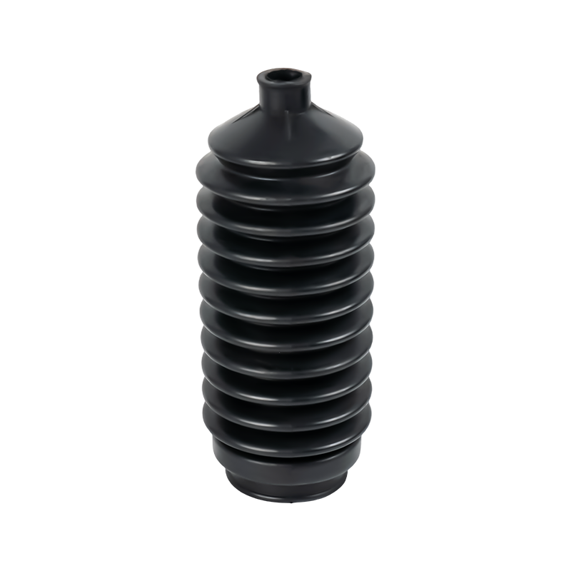 السيرة الذاتية حذاء